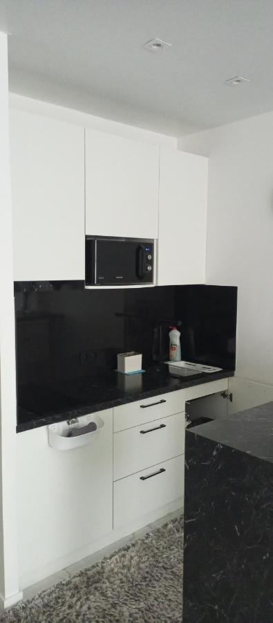 New Modern Apartment Užhorod Esterno foto