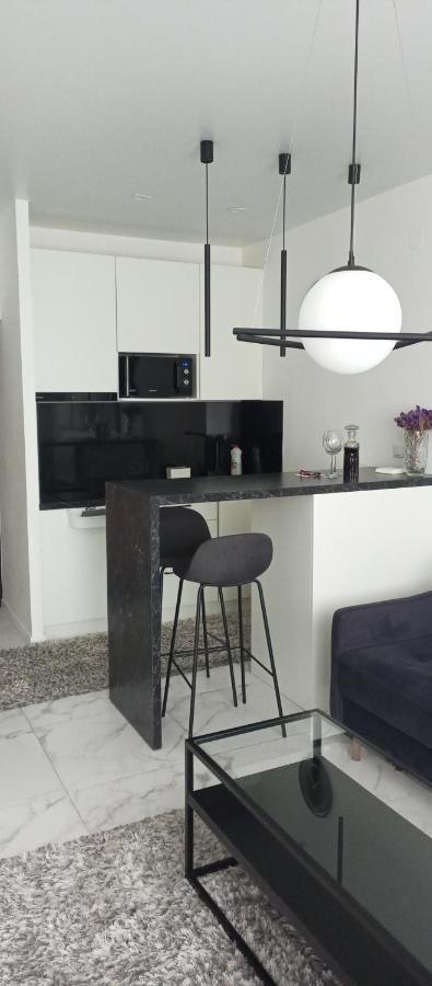 New Modern Apartment Užhorod Esterno foto